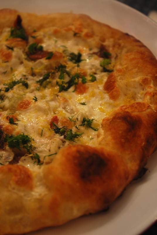 a-bread-a-day-fennel-lemon-anchovy-pizza