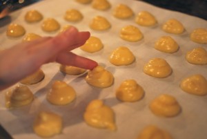 choux-fixin