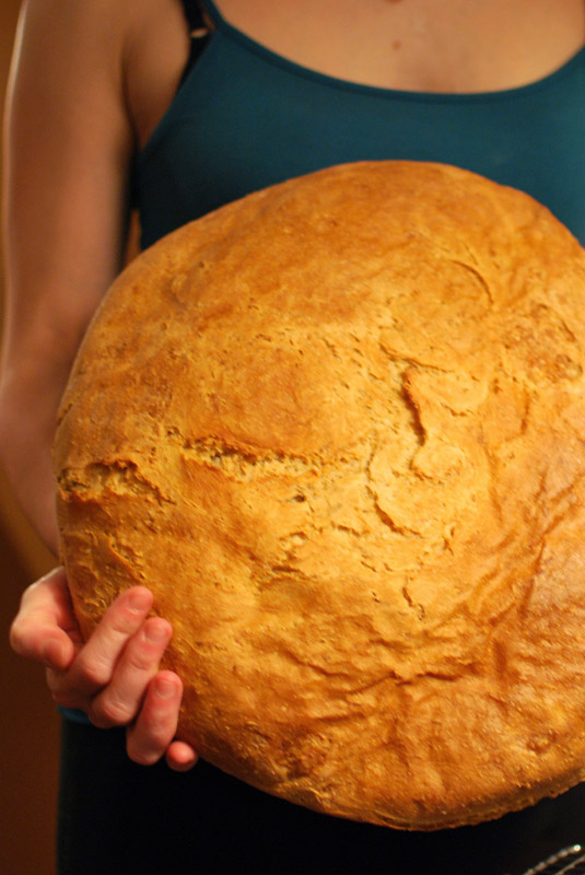 Tie a Knot in this Pan Gallego  Galician Bread - Bread Experience